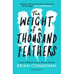 The Weight of a Thousand Feathers