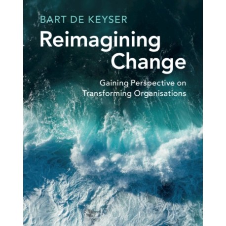 Reimagining Change: Gaining Perspective on Transforming Organisations