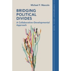 Bridging Political Divides: A Collaborative–Developmental Approach