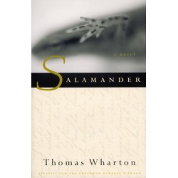Salamander