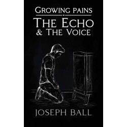 The Echo And The Voice