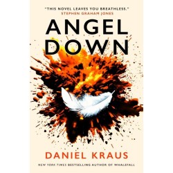 Angel Down