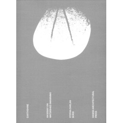 Earthshine: An Essay on Watershed Imagining