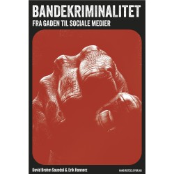 Bandekriminalitet: Fra gaden til sociale medier