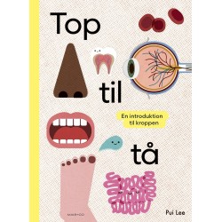 Top til tå - en introduktion til kroppen