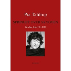 Springet over skyggen: Udvalgte digte 1981-2006