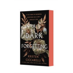 Dark Forgetting: A Novel