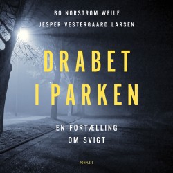 Drabet i parken: En fortælling om svigt