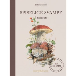 Spiselige svampe: i naturen