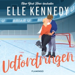 Udfordringen