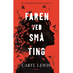 Faren ved små ting