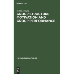 Group Structure Motivation and Group Performance