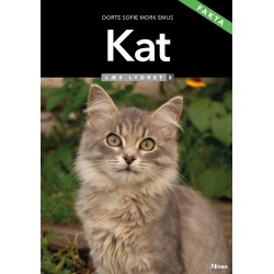 Kat, Læs Lydret 3, FAKTA