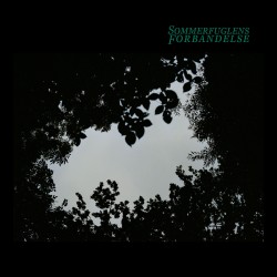Sommerfuglens forbandelse