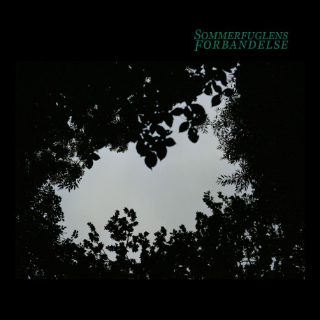 Sommerfuglens forbandelse