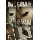 Skakmat