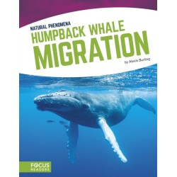 Humpback Whale Migration