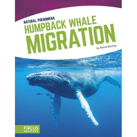 Humpback Whale Migration