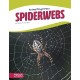 Spiderwebs