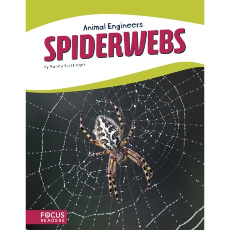 Spiderwebs