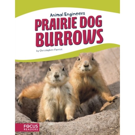 Prairie Dog Burrows