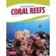 Coral Reefs