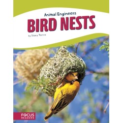 Bird Nests