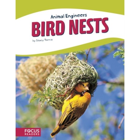 Bird Nests