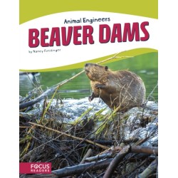 Beaver Dams