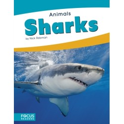 Sharks