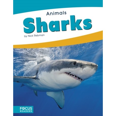 Sharks
