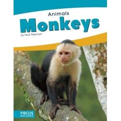 Monkeys