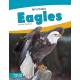 Eagles