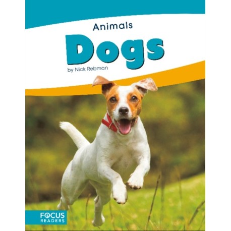 Dogs