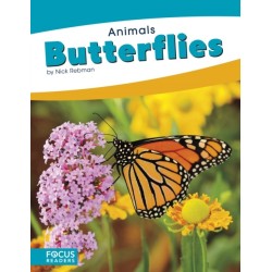 Butterflies