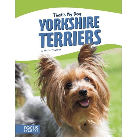 Yorkshire Terriers