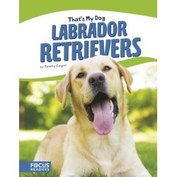 Labrador Retrievers
