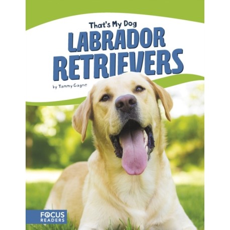 Labrador Retrievers