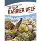 The Great Barrier Reef