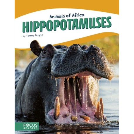 Hippopotamuses