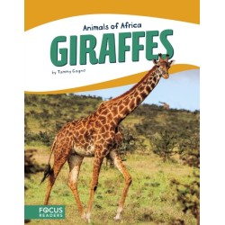 Giraffes