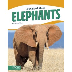 Elephants