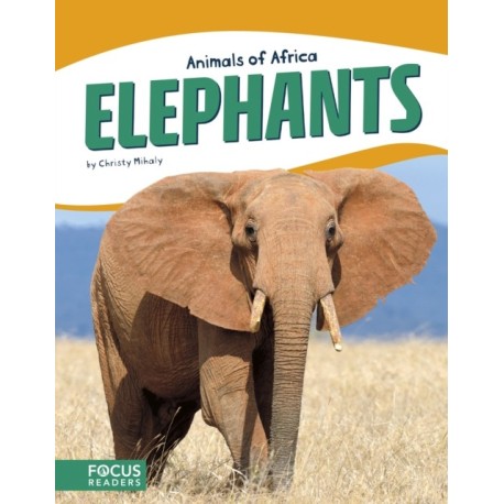 Elephants