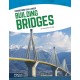 Building Bridges