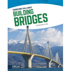 Building Bridges
