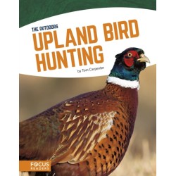 Upland Bird Hunting