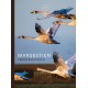 Marskstien: Tøndermarsken