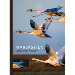 Marskstien: Tøndermarsken