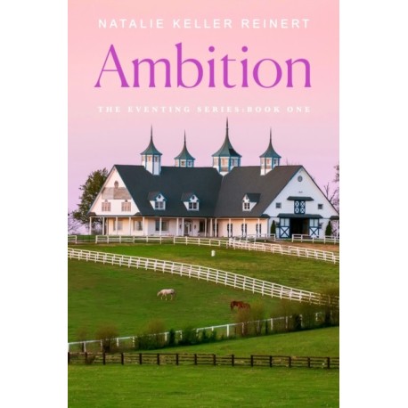 The Ambition: A Novel