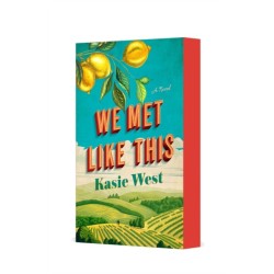 We Met Like This: A Novel